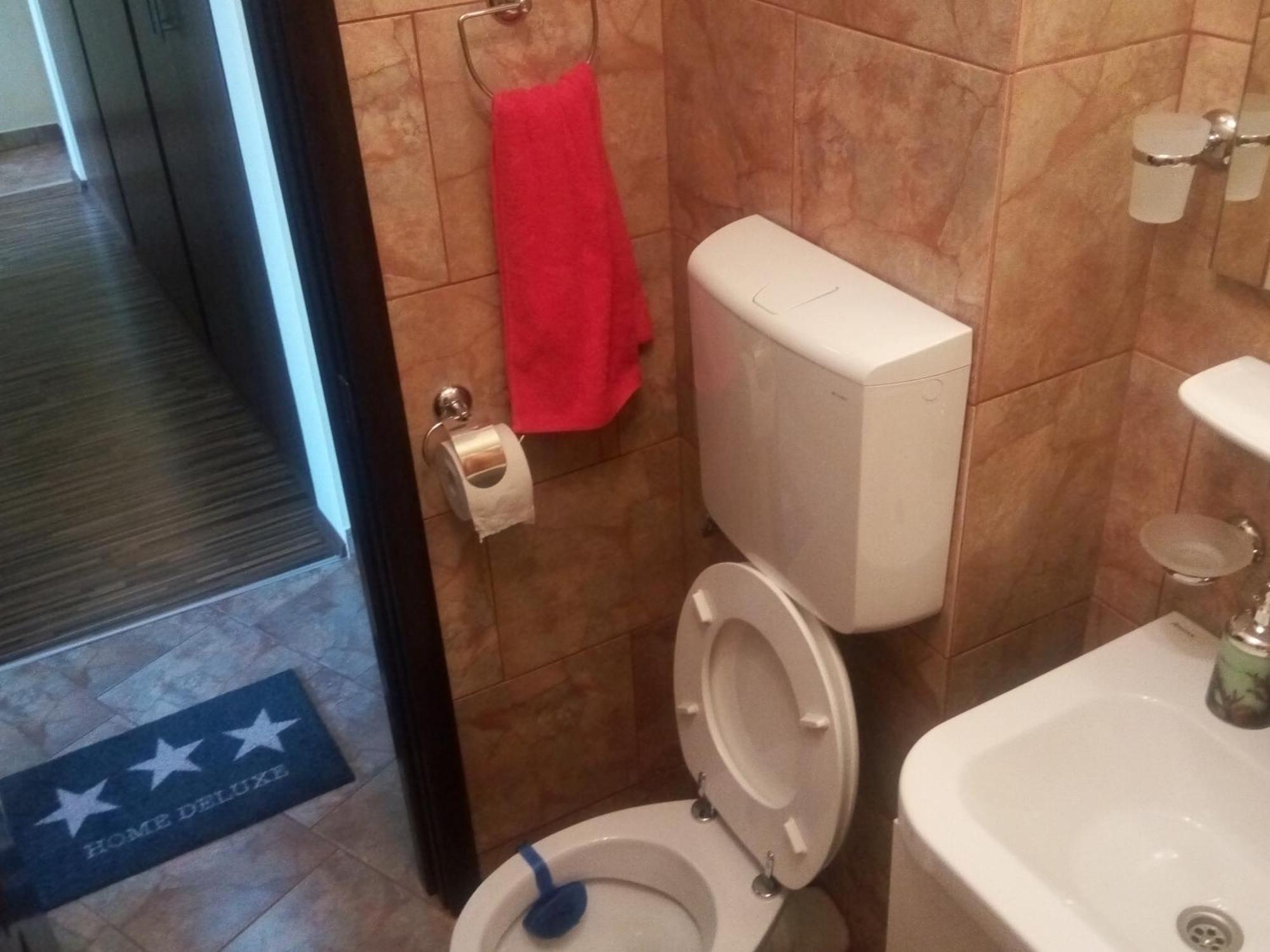 Apartament Dana Bukurešť Exteriér fotografie